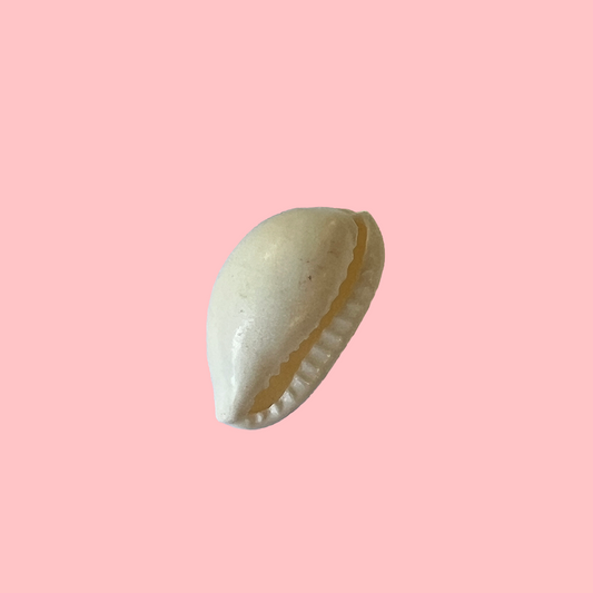 Charms Coquillage Cauri