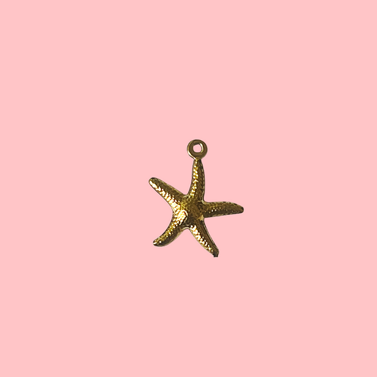 Charms Étoile de mer