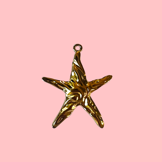 Charms grande étoile de mer