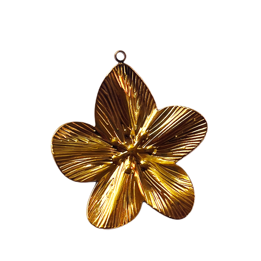 Charm Grande Fleur orchidée