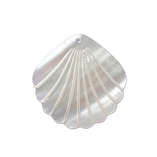 Coquillage nacre